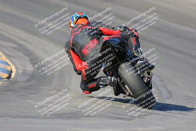 media/Nov-12-2023-SoCal Trackdays (Sun) [[5d1fba4e7d]]/Turn 10 Backside (115pm)/